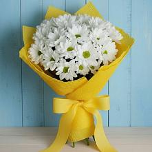 Букет цветов из:  Хризантемы в Сиверском