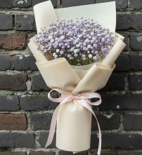 Букет цветов из:  Гипсофила #REPLACE_PRED# Сиверском