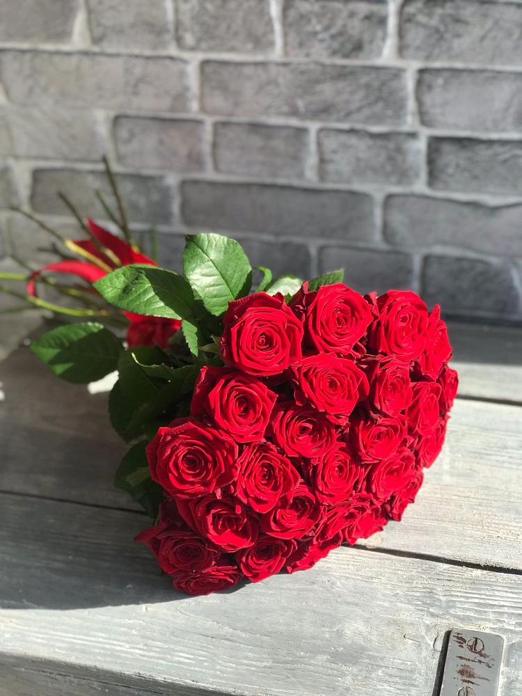 Букет Красные розы Фридом в Сиверском