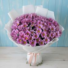 Букет цветов из:  Хризантемы в Сиверском