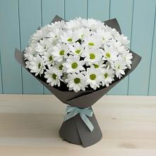 Букет цветов из:  Хризантемы #REPLACE_PRED# Сиверском