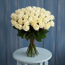 Букет 51 Белая роза Эдлесс Лав в Сиверском