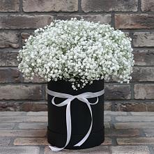 Цветочная композиция из Гипсофила в шляпной коробке в Сиверском