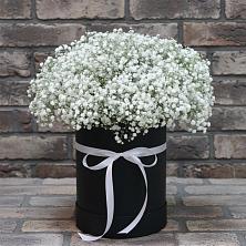 Цветочная композиция из Гипсофила в шляпной коробке в Сиверском