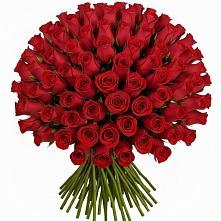 Букет Красные розы Чери Лав в Сиверском