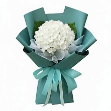 Букет цветов из:  Гортензия #REPLACE_PRED# Сиверском